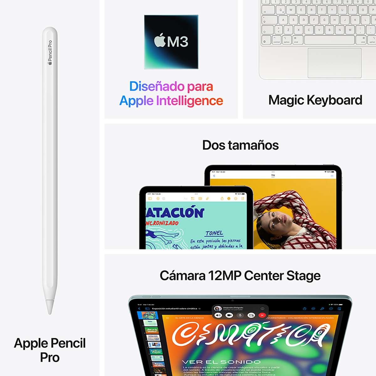 IPad Air Apple + Celular 256GB 11